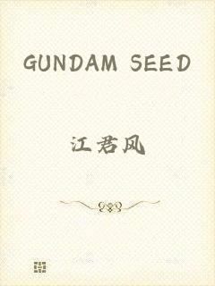 GUNDAM SEED